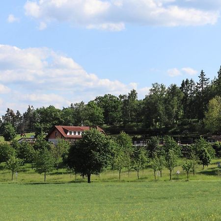 Ubytovani Pod Haniperkem Hotel Vodňany Kültér fotó