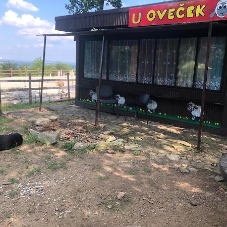 Ubytovani Pod Haniperkem Hotel Vodňany Kültér fotó