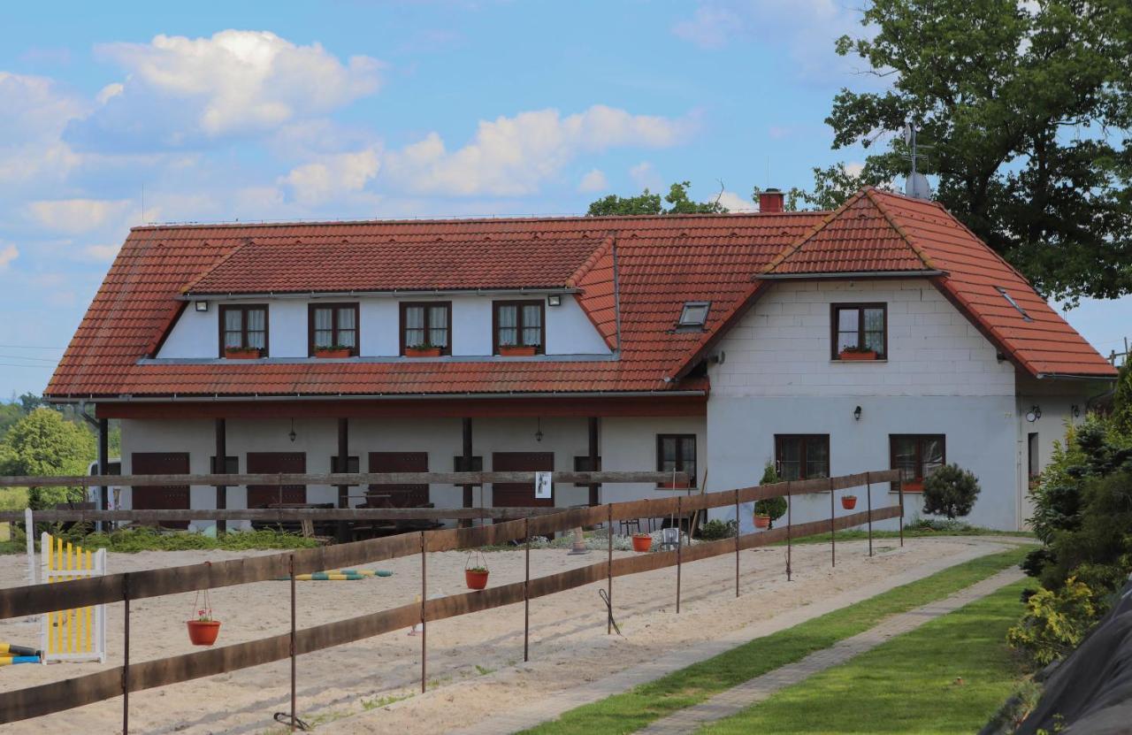 Ubytovani Pod Haniperkem Hotel Vodňany Kültér fotó