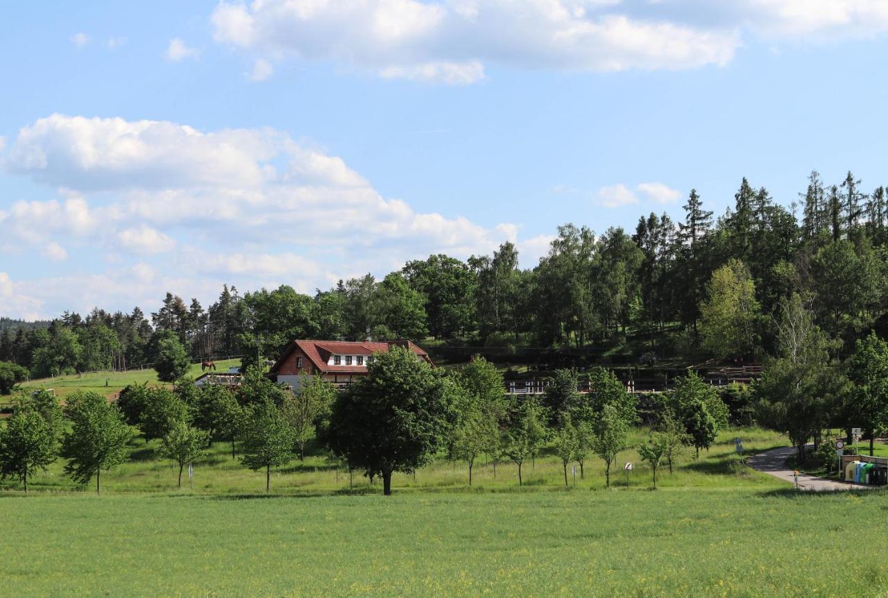 Ubytovani Pod Haniperkem Hotel Vodňany Kültér fotó