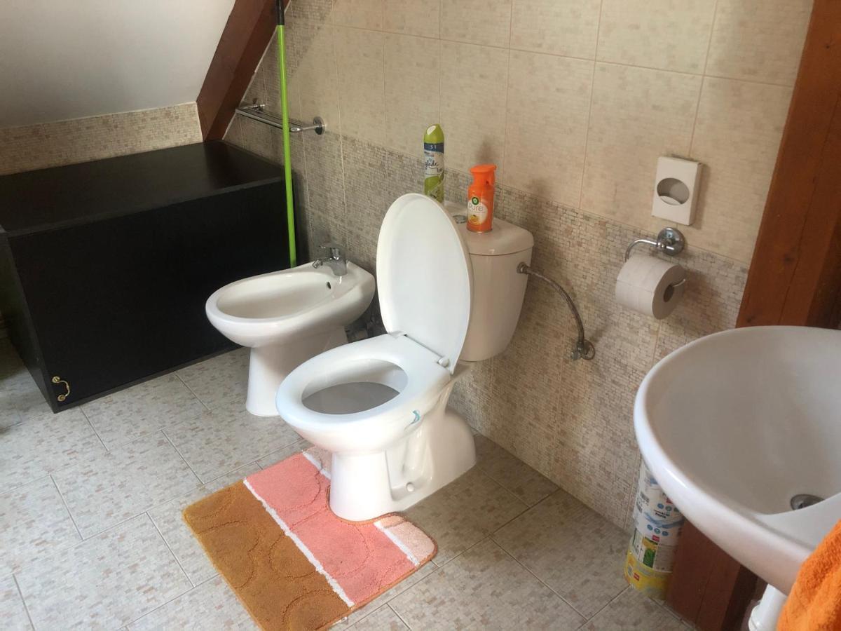 Ubytovani Pod Haniperkem Hotel Vodňany Kültér fotó