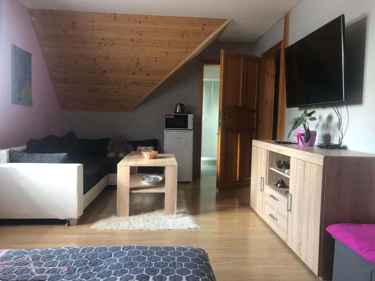Ubytovani Pod Haniperkem Hotel Vodňany Kültér fotó