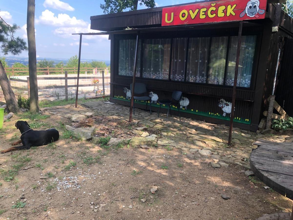 Ubytovani Pod Haniperkem Hotel Vodňany Kültér fotó